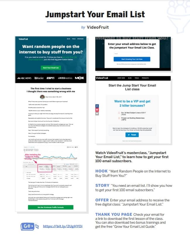Lead Magnet Funnel 8 Lead Funnels Swipe file example