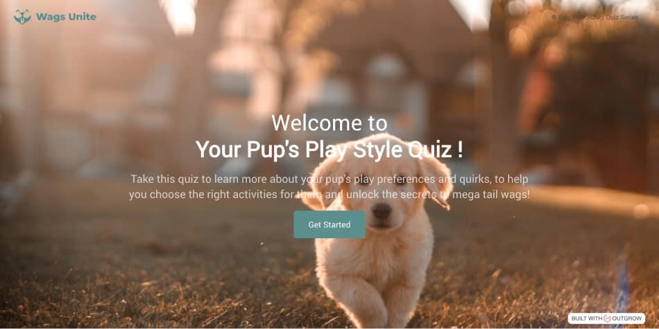 Quiz/Survey Funnel 37 Quiz Funnel example: Wags Unite's question page