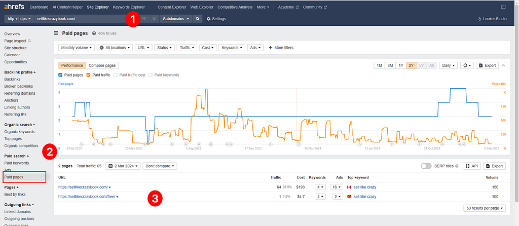 Identify the specific pages where competitors are running ads using Ahrefs.