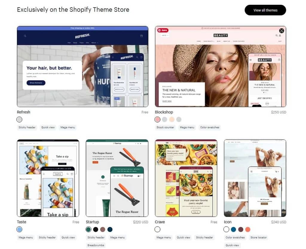 shopify theme store