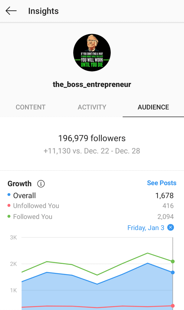 the boss entrepreneur profile
