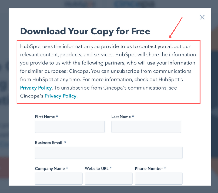 opt-in form example