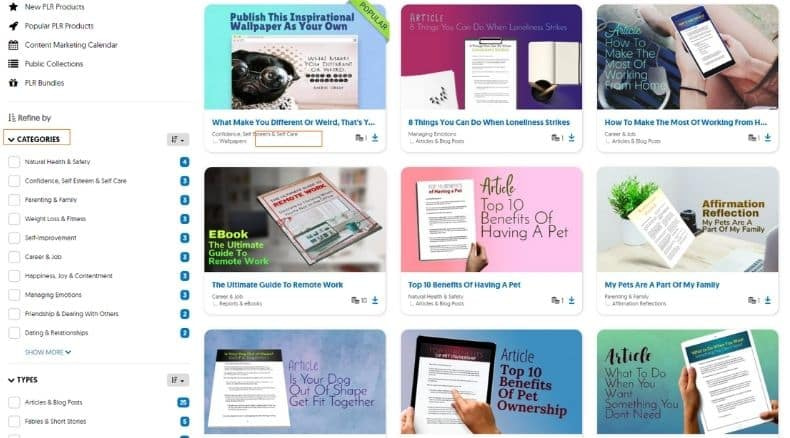 dog training plr
